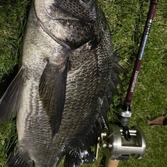 釣り友達🎣 - メンバー募集