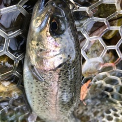 釣り友達🎣 − 東京都
