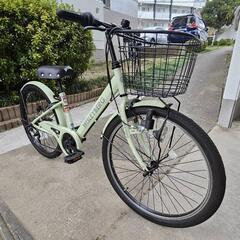 クリスマスプライス！12/25まで！！自転車 24インチ ジュニア ウィズリーバーグ ピスタチオ