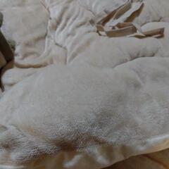 こたつ布団の画像