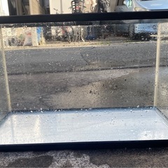 水槽(2つ)の画像