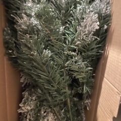 クリスマスツリーの画像