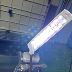 コトブキ   36センチ水槽の画像