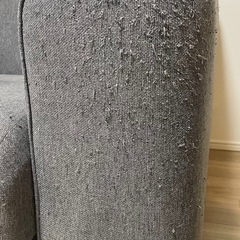 コアラソファ　の画像