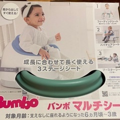 決まりました☆☆バンボ
