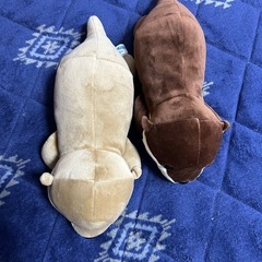 カワウソ　ぬいぐるみ　２つセットの画像
