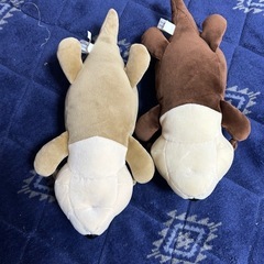 カワウソ　ぬいぐるみ　２つセットの画像