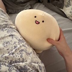 鳴門へ引っ越してきたシングルマザーです。
