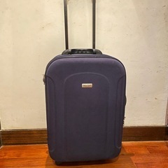 キャリーバッグの画像