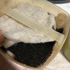 【T5】 テトラ バリューエックスパワーフィルター VX-75の画像