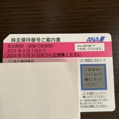 ANA株主優待チケット