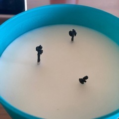 【キャンドル】white burnベルガモットの香り〜の画像