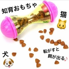 新品✨️ ペット用 おやつおもちゃ♪ 知育グッズ 犬 猫 餌 ダイエット 給餌器の画像