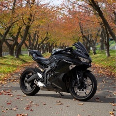 カワサキ ニンジャ ZX-25R