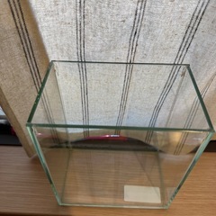 ガラスケース　ベタ　メダカの画像