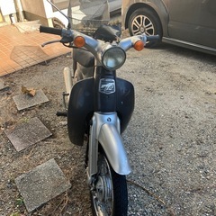 リトルカブの画像