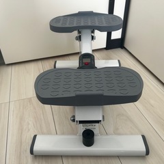 【AEROLIFE公式にて購入】サイドステッパー(取扱説明書付き)の画像