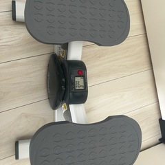 【AEROLIFE公式にて購入】サイドステッパー(取扱説明書付き)の画像