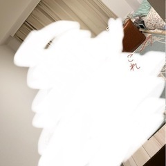 本日10日取引可 すのこベッド　　シングル　すのこのみ の画像