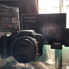 Panasonic DMC-FZ100