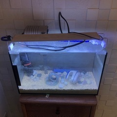 熱帯魚水槽一式0円今日引き取り限定の画像