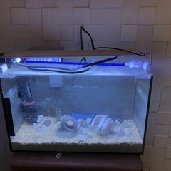 熱帯魚水槽一式