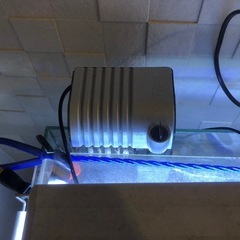 熱帯魚水槽一式0円今日引き取り限定の画像