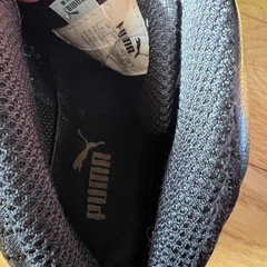PUMA  プーマの運動靴の画像