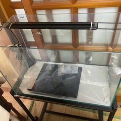60センチ水槽、水槽台保管