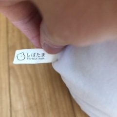しばたま　　クッションの画像