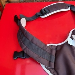 バイク2人の用のタンデムベルトの画像