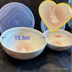 うさぎ柄 保存容器 蓋付き せともの 瀬戸物 大小 2個セット