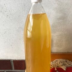 100％りんごジュース1L　１本　ふじ　賞味期限難あり