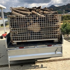 カシノキ 薪ストーブに！