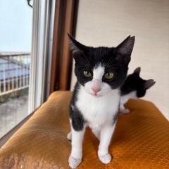 かわいい仲良し兄妹💖🌸トライアル中