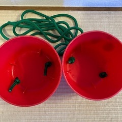 パカポコ　はらぺこあおむしのぽっくりの画像