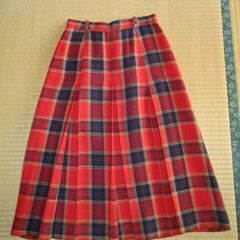 スカート・プリーツ付きスカートの画像