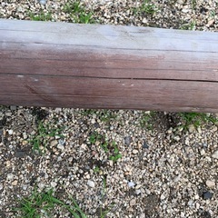 鯉のぼりの柱の画像