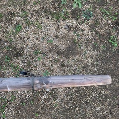 鯉のぼりの柱の画像