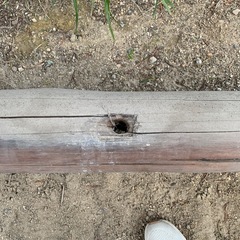 鯉のぼりの柱の画像