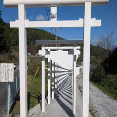 原付二種限定✨️ツーリング仲間募集☺ − 岡山県