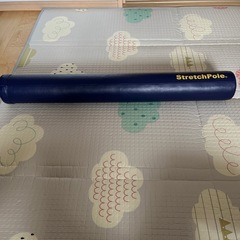 [取引予定]ストレッチポール　LPN