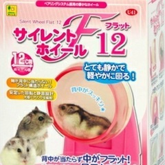 サイレントホイール12 フラット　未開封の画像