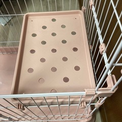 売り切り！最終値下 美品 猫用 ケージ の画像