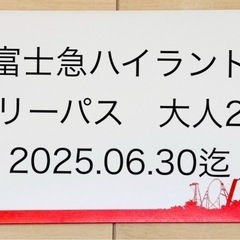 値下げ不可　富士急ハイランドフリーパス大人2人分有効期限 202...