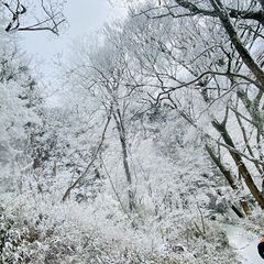 12月28日　金剛山(雪山)行きませんか？　雪山初級 − 大阪府