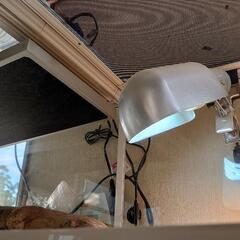 爬虫類ゲージの画像