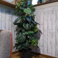 フェイク　観葉植物