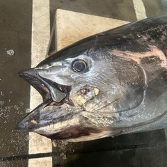 バドミントンクラブに入りたいです！