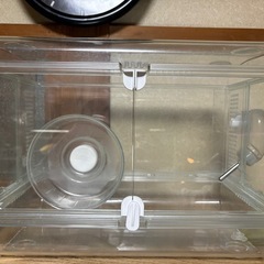 🐹グラスファーモニー35🐹🦎